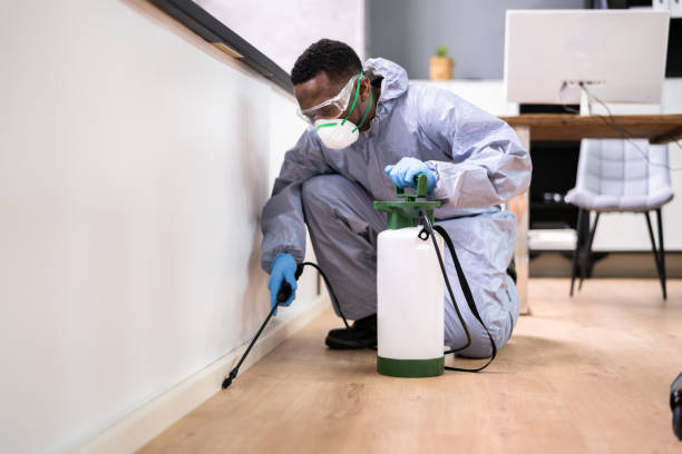 Best Real Estate Pest Inspections  in Chambersburg, PA